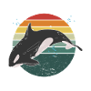 Retro orca