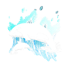 Killer whale gift