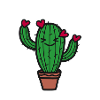 Cactus love
