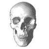 skull