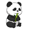 Ours panda bambou panda