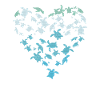 Turtle love