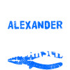 Heimwerker Alexander