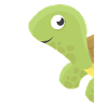 Funny turtle