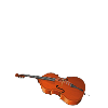 double bass
