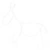 Donkey
