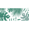 monstera