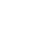 Bunny polygon