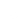 Krav Maga Star of David