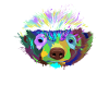 Splash Dachs