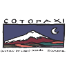 Cotopaxi t-shirt gift idea