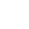 Fox Terrier TERRIER