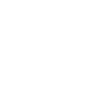 Jack russell jack russel