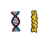 1165 DNA PASTA