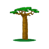 Baobab Tree