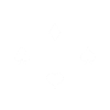 Ace, ass