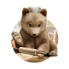 BÄR CHEF