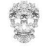 Cats skull