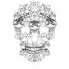 Cat cats skull and crossbones