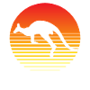 Kangaroo animal