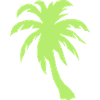 palm tree palm palms