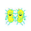 Bacteriën, ziektekiemen, virussen, ziekte, pest, griep