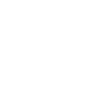 Elegant hammerhead shark