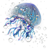 méduse