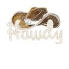 Cowboy cowboy hat wild west