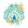 Peacock Beauty Peacock Feather