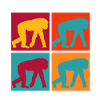 monkey