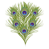 Peacock zoo