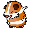 Dabbing guinea pig gift idea