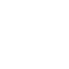 Spinne