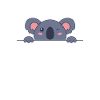 Koala is hiding