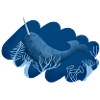 deep sea magic narwhal