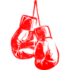 Boxing gloves boxing icon