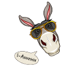 Esel mit Sonnenbrille