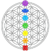 flower of life kundalini