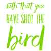 abgeschossener Vogel