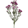 Girl Gang GirlPower GirlBoss T-Shirt
