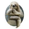 SLOTH IN CLASSROOM