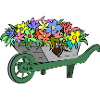 Flowers Spring