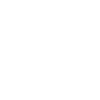 carnivore diet