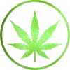 Marijuana leaf