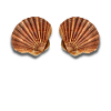 Mermaid shell mermaid bra