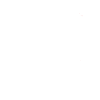 Maltese dog