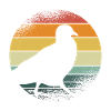 Retro pigeon