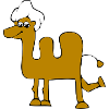 camel