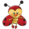 cute ladybug